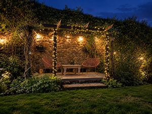 Garden at Night- click for photo gallery